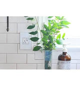 Mirror 1-Gang Wall Plate by Legrand Adorne by Legrand Adorne, Finish: White, White on White, , | Casa Di Luce Lighting