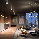 Orchid Suspension in meeting room