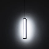 Chaos Pendant by Modern Forms, Finish: Black, Brass Aged, Size: Small, Medium, Large, | Casa Di Luce Lighting