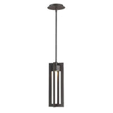 Chamber Outdoor Pendant Light by W.A.C. Lighting, Finish: Black, Bronze, , | Casa Di Luce Lighting