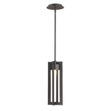 Chamber Outdoor Pendant Light by W.A.C. Lighting, Finish: Black, Bronze, , | Casa Di Luce Lighting