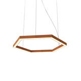 Frame Hexagon Pendant - Curupixa