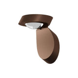 Pin-Up Wall-Ceiling Light - Casa Di Luce