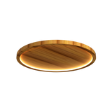 Naia Edge Lit Ceiling Light - Teak