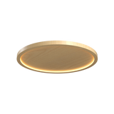 Naia Edge Lit Ceiling Light - Maple