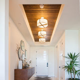 Plura Pendant Light by Cerno