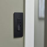 Graphite Radiant CFL/LED Dimmer by Legrand Radiant