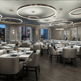 The Ring Suspension By Viso