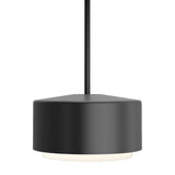 Roton 12 LED Outdoor Pendant Light - Casa Di Luce