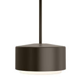 Bronze Roton 12 LED Outdoor Pendant Light by Tech Lighting