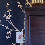 Radiant One-Gang Screwless Wall Plate - Casa Di Luce