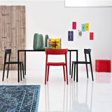 Skin CS/1391 Dining Chair by Calligaris