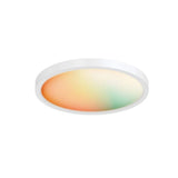 RGB+ Tunable Smart Flushmount