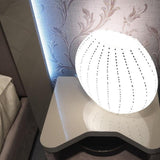 Oikos Riccio Capriccio Table Lamp by Murano Arte, Title: Default Title, , | Casa Di Luce Lighting