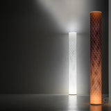 Sparkling Floor Lamp in living room