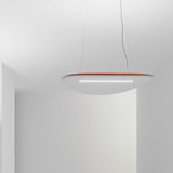 Derby Suspension by Stilnovo