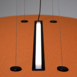 Derby Suspension by Stilnovo