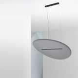 Derby Suspension by Stilnovo