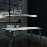 Sub Pendant Light in Restaurant