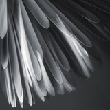 White Sun-Lite of Love Suspension by Foscarini