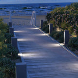 Syntra Outdoor Path Landscape Light in Path