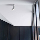 Tubes Large Ceiling Light in hallway