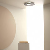 Kwic Ceiling Light by AXO Light, Finish: Transparent Bronze-Axo Light, Intense Black-Axo Light, Intense White-Axo Light, Size: Small, Large, | Casa Di Luce Lighting