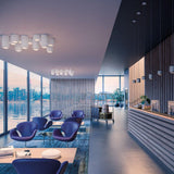 Urban Ceiling Light in workplace