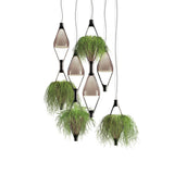 Viceversa Suspension Planter Light - Casa Di Luce
