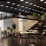 Vinyl Wall/Ceiling Lamp in restaurant