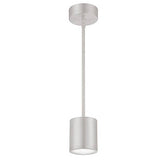 Graphite Tube LED Pendant Downlight by WAC Lighting