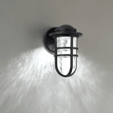 Steampunk LED Indoor/Outdoor Wall Sconce in wall
