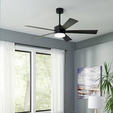 Wynd 42 Ceiling Fan with Light by Modern Forms