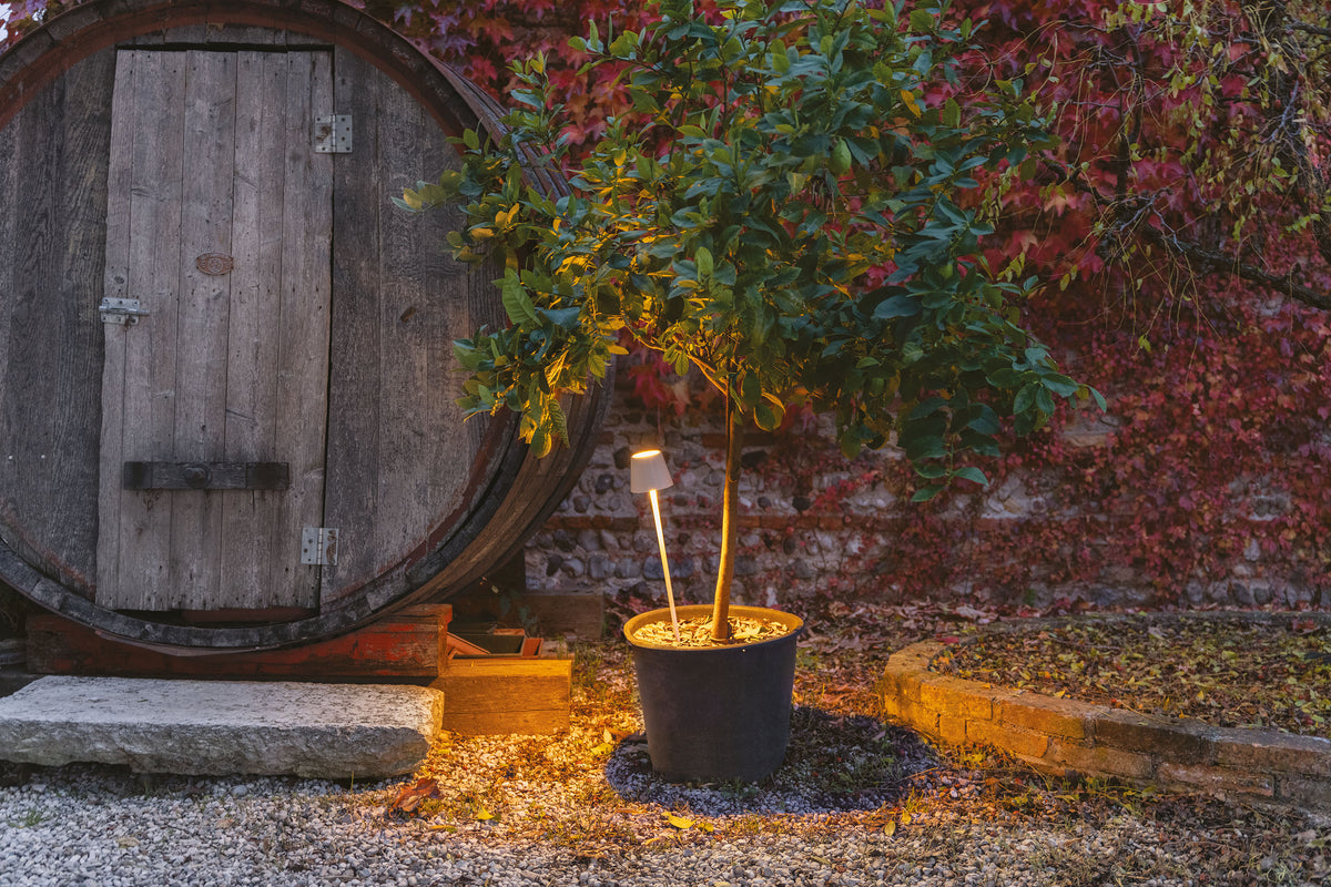 Lighting Ideas for Outdoor Entertaining