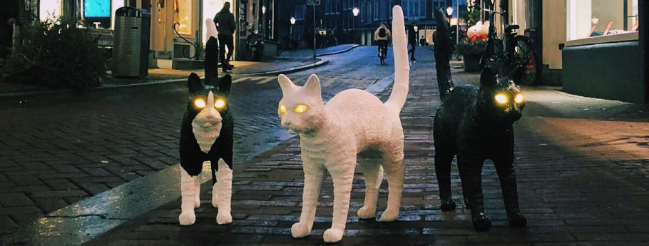 Spooky Lighting