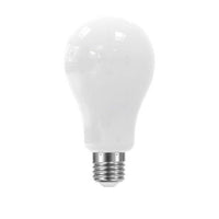 100W E26 Silver - Clear Halogen Lamp