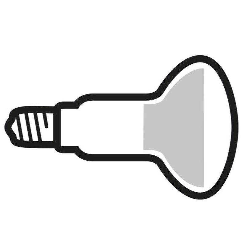 120R E26 PAR38 Lamp