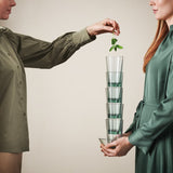 Rosendahl GC Recycled Café Glass Clear Green 2 Pcs H 5.3in Dia 3.1in 12.5 oz By Rosendahl