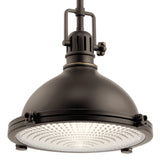 Hatteras Bay Dome Pendant Olde Bronze 11.75 Inch