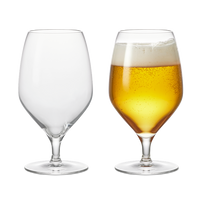 Rosendahl Premium Beer Glass, Clear, 20.3 Oz, 2 Pcs. By Rosendahl