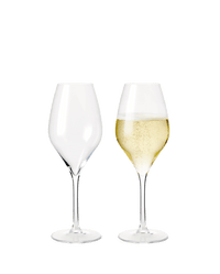 Rosendahl Premium Champagne Glass, Clear, 12.5 Oz, 2 Pcs.