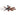 Gentry Ceiling Fan Distressed Black 60 Inch