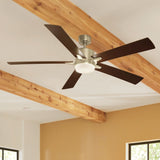 Lucian Ceiling Fan lifestyle 1