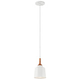 Danika Dome Mini Pendant White