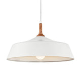 Danika Dome Pendant White