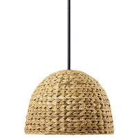 Raffiana Dome Mini Pendant Black