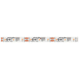 4Tl Dry Tape 12V LED Tape Light White