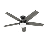 Anisten Smart Fan with LED Light