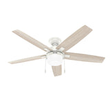 Anisten Smart Fan with LED Light