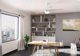 Anisten Smart Fan with LED Light